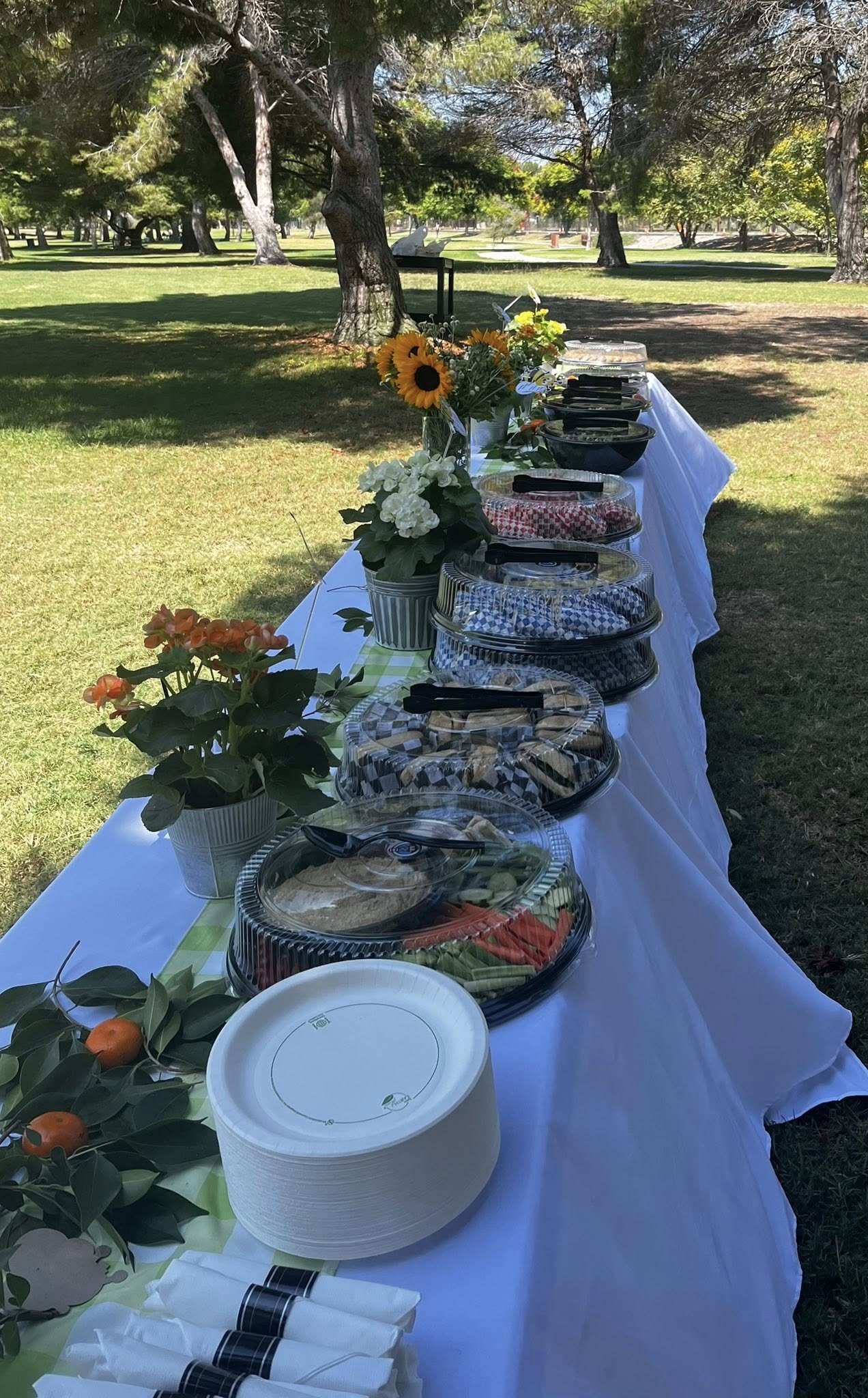 Picnic Catering Event